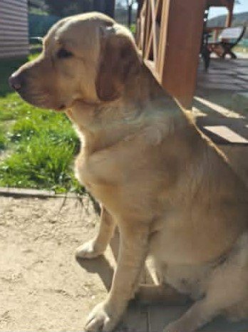 Max