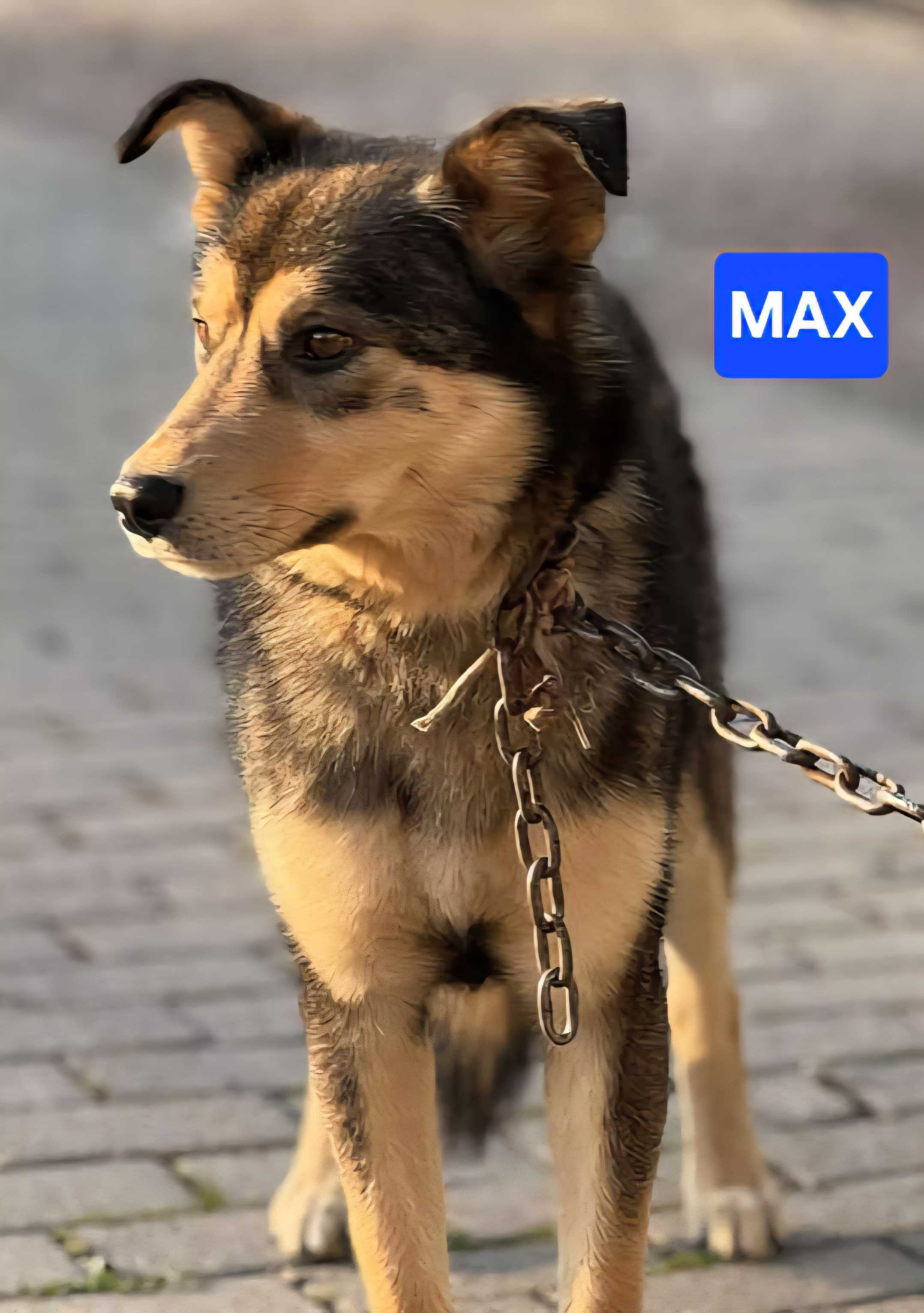 Max