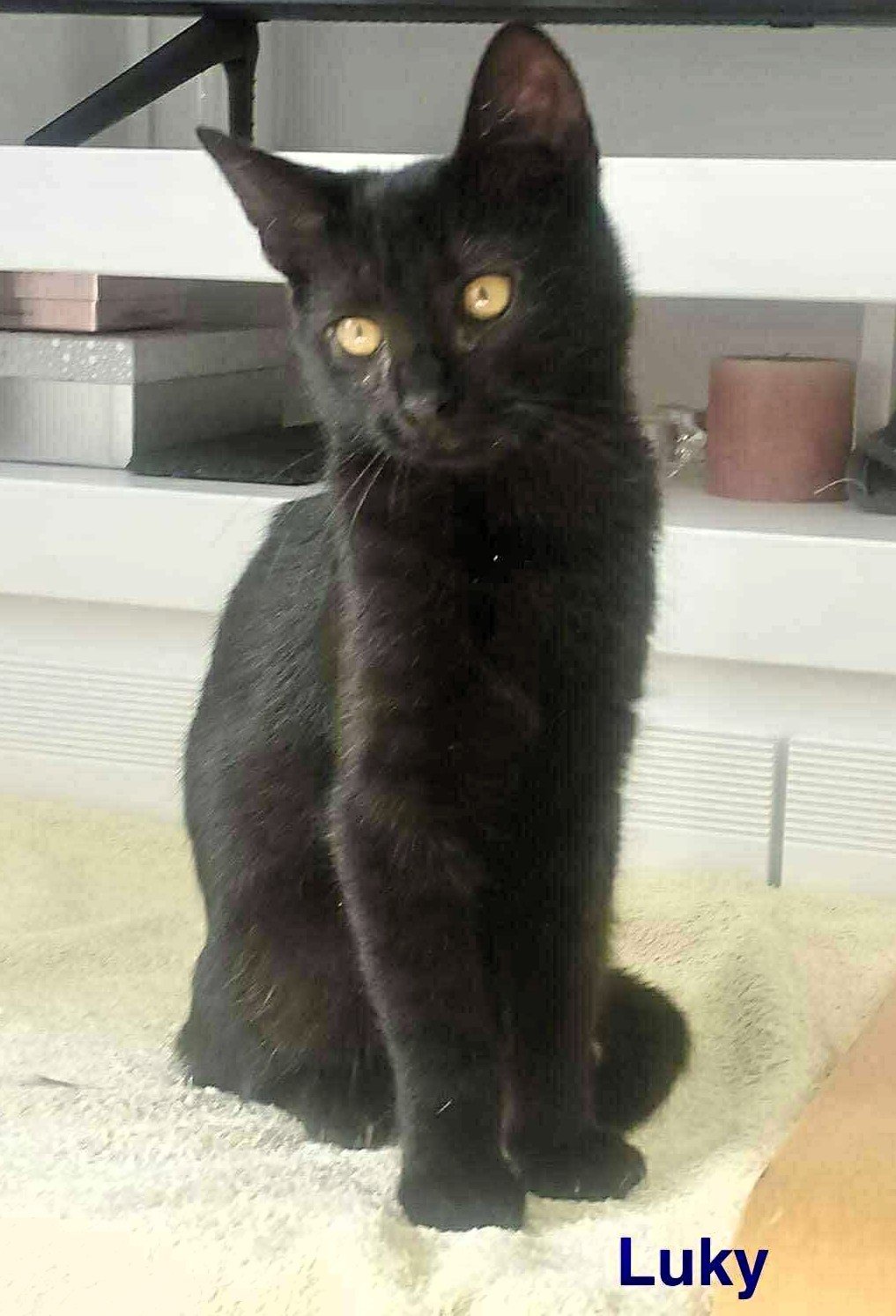 Luky